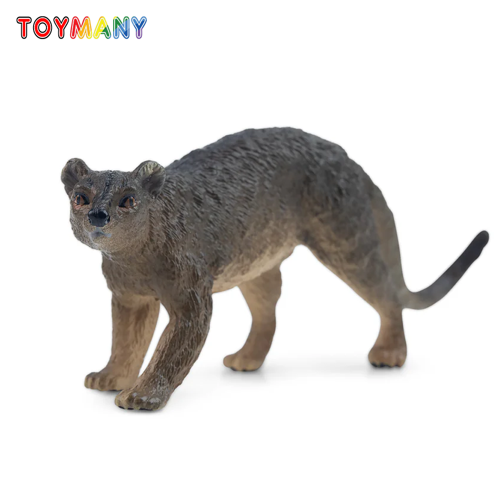 Kids Toys Under $5 - Toymany simulação fossa madagascar modelo animal