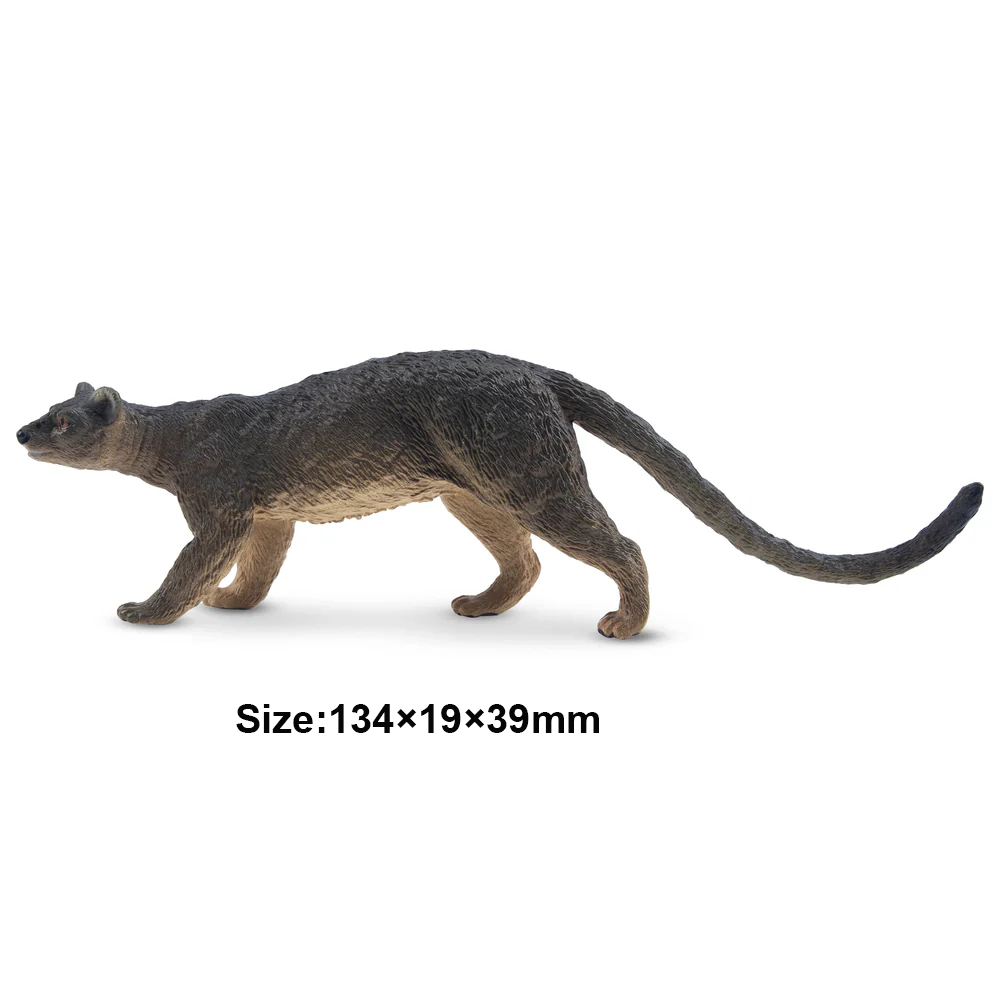 Toymany simulação fossa madaga - Kids Toys Under $5 avaliação e preço