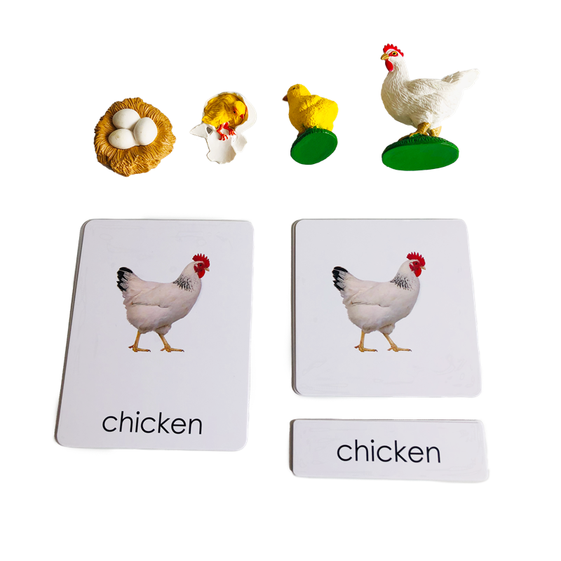Cartões e modelos de animais d - Kids Toys Cycle avaliação e preço